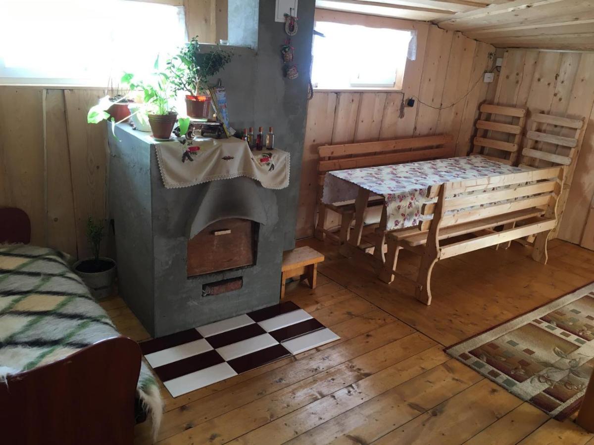 У Ондраша Apartment Yasinya Ngoại thất bức ảnh